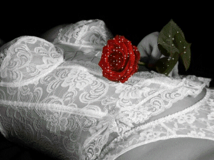 l'amoure